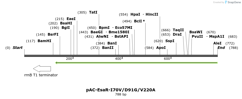 70362_map