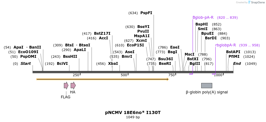 70365_map