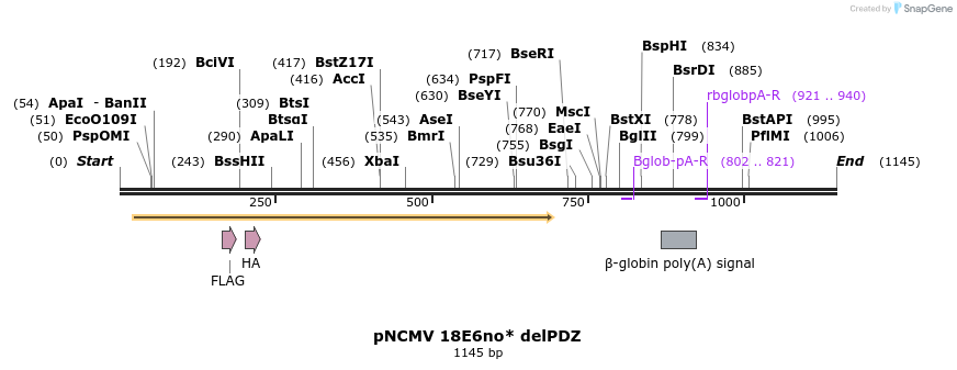 70366_map