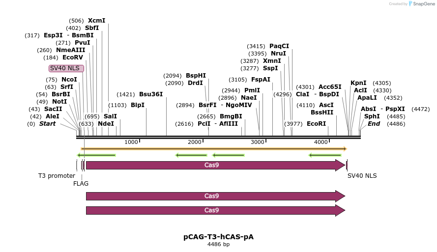 70367_map