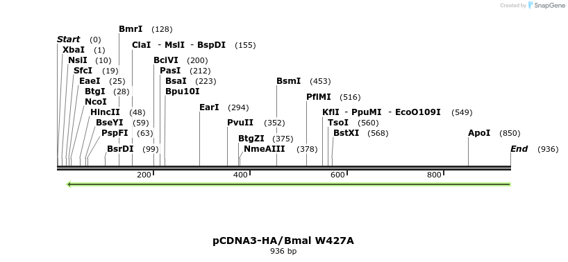 70371_map