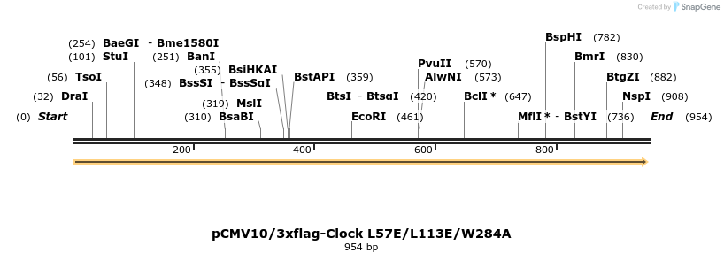 70372_map