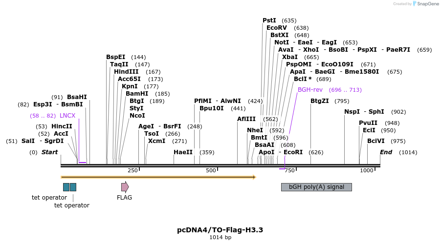 70373_map