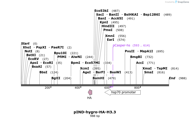 70374_map