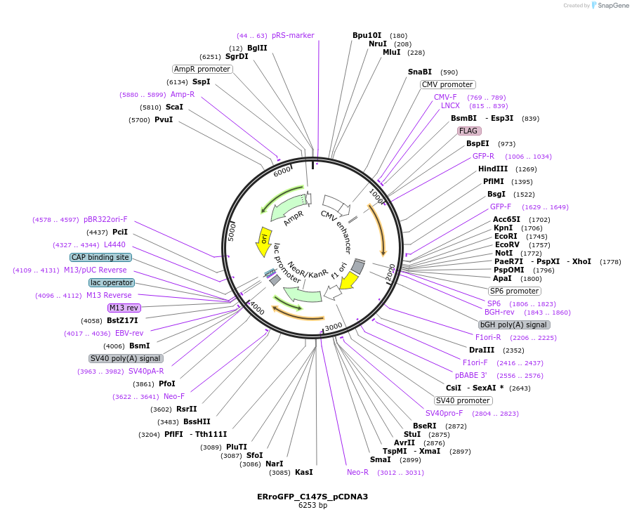70378_map