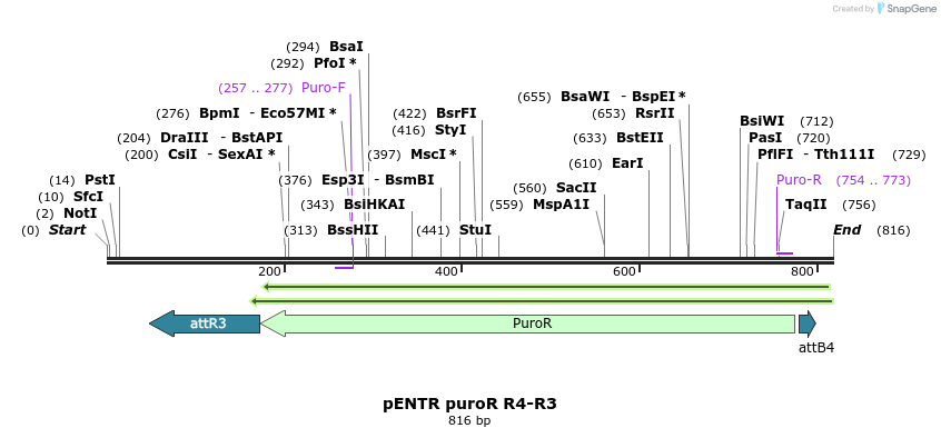 70387_map