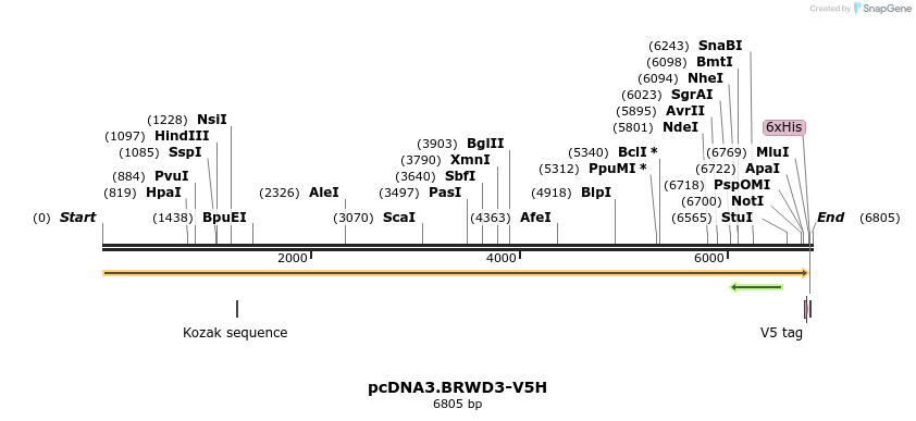 70391_map