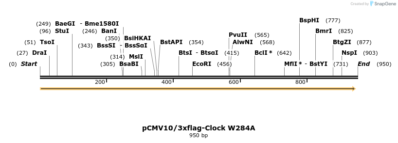 70411_map