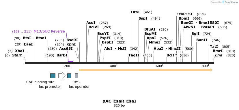 70413_map