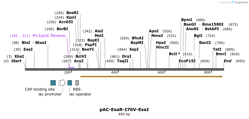 70415_map