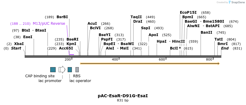 70416_map