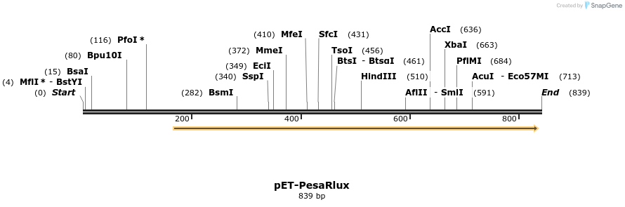 70419_map