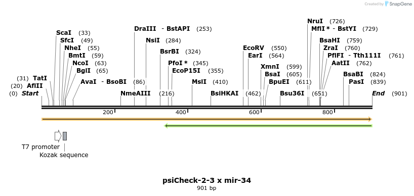 70429_map