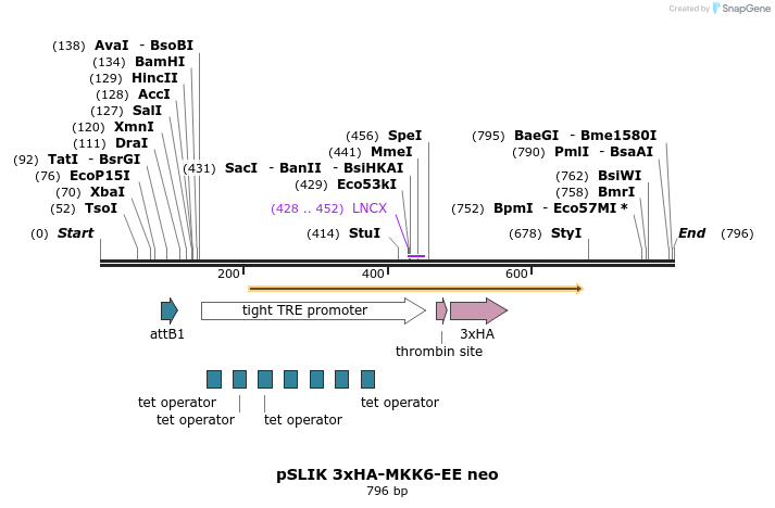 70430_map