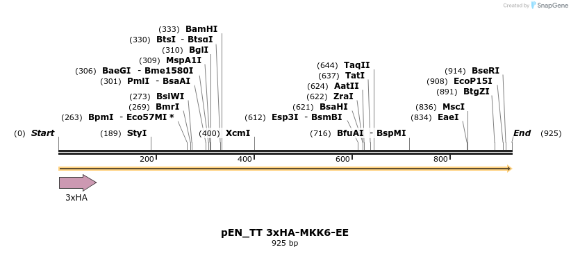 70432_map