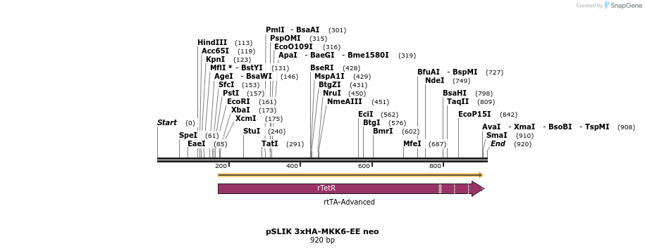 70435_map