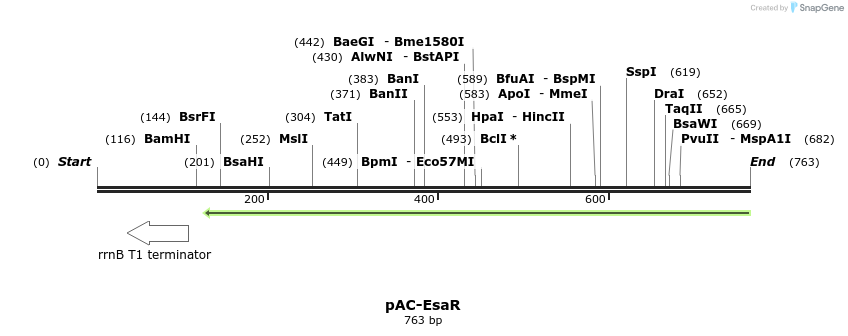 70436_map