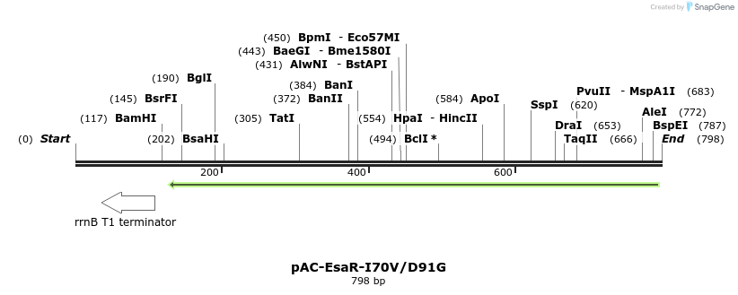 70437_map
