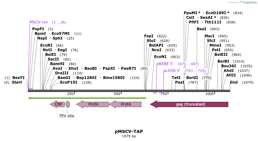 70438_map