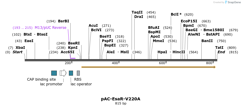 70439_map