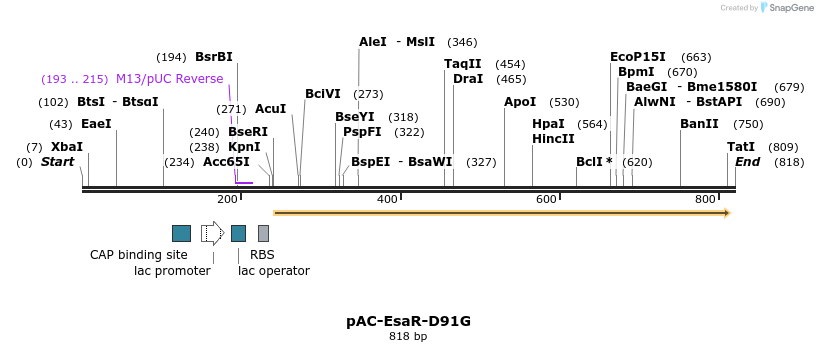 70440_map