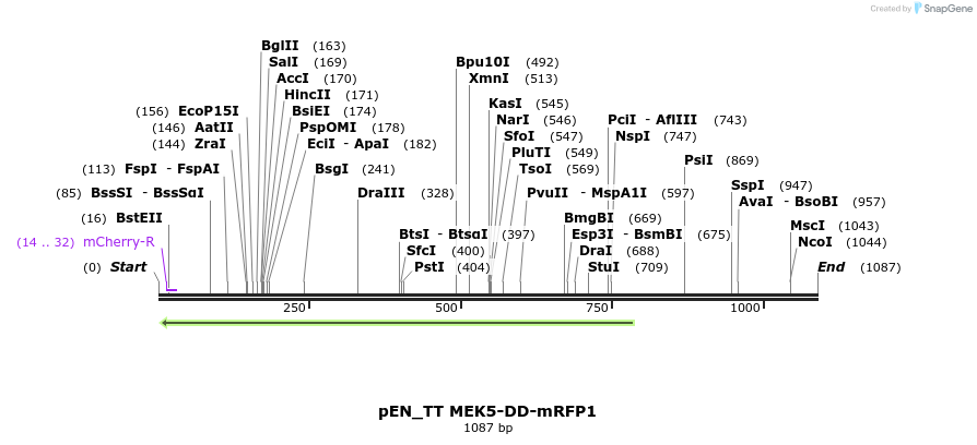 70441_map