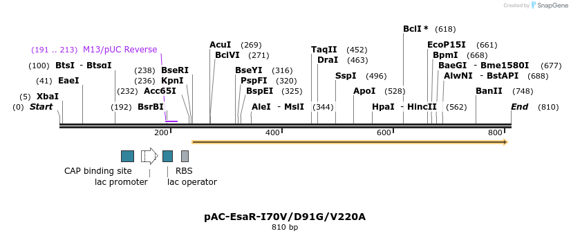 70442_map