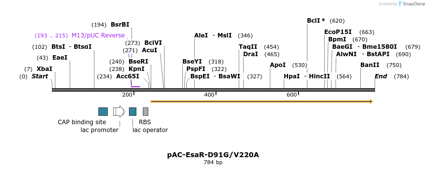 70444_map