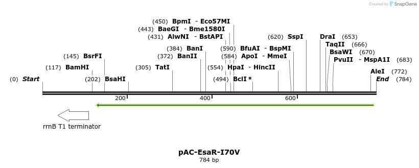 70446_map