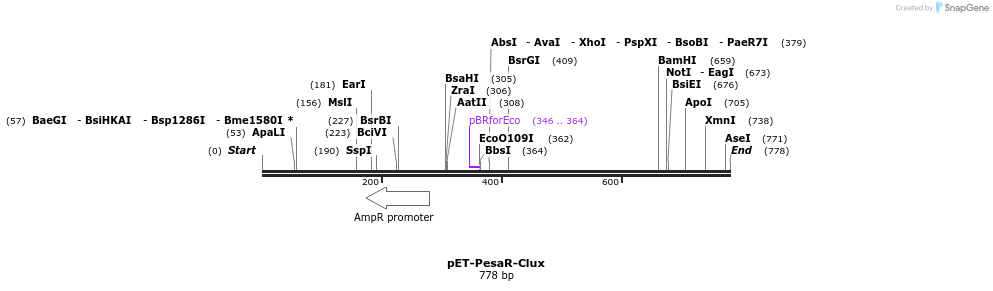 70453_map