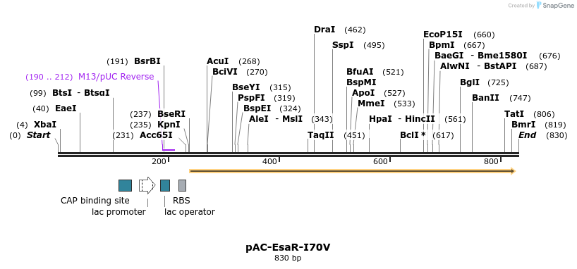 70457_map