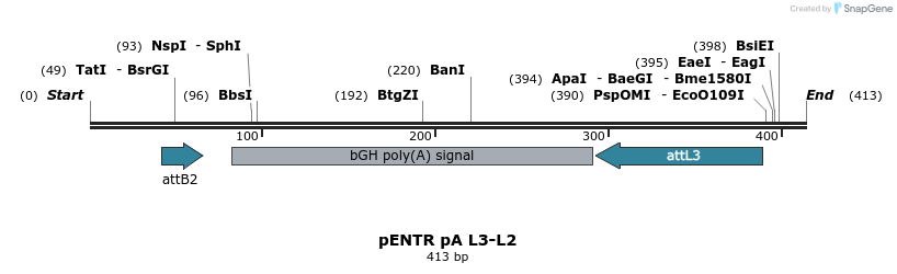 70462_map