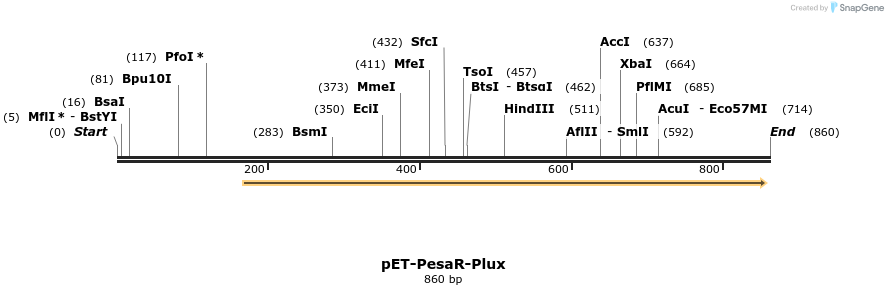 70463_map