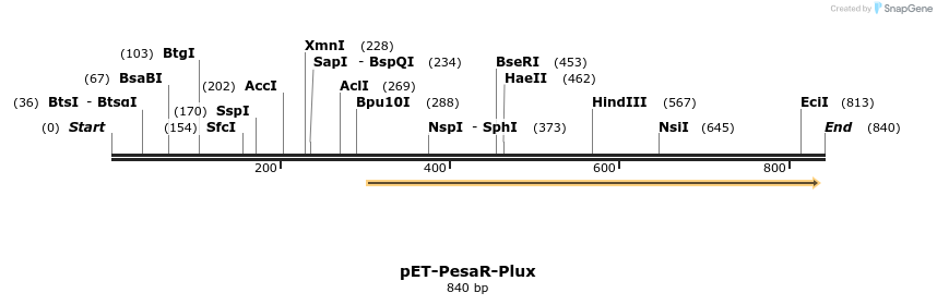 70464_map