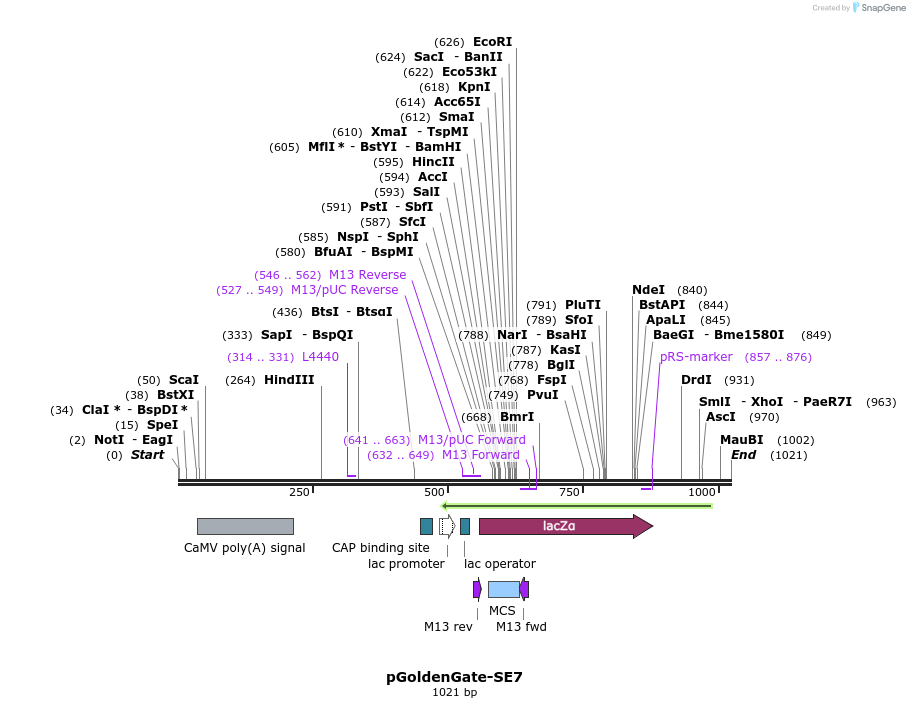 70465_map