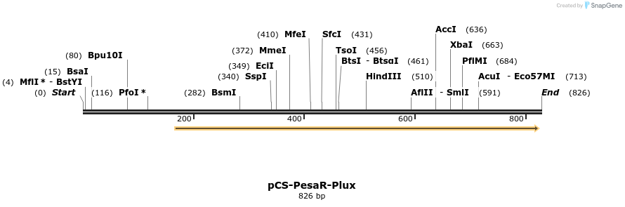 70468_map