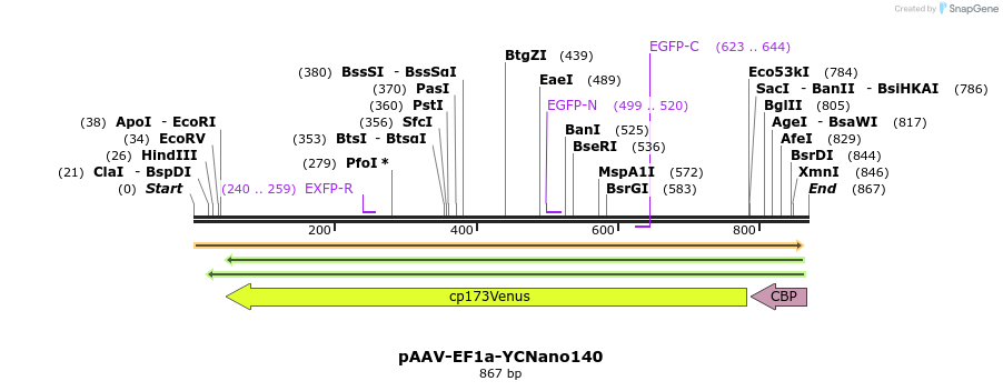 70469_map