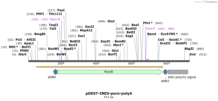 70471_map