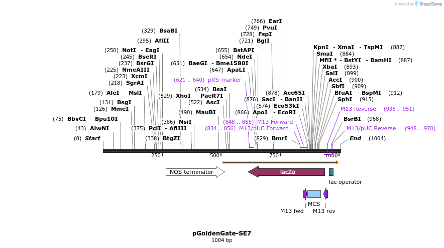 70473_map