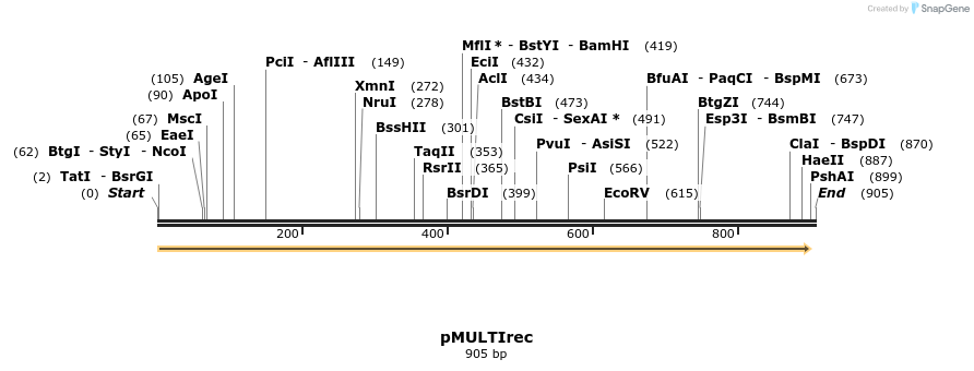 70475_map