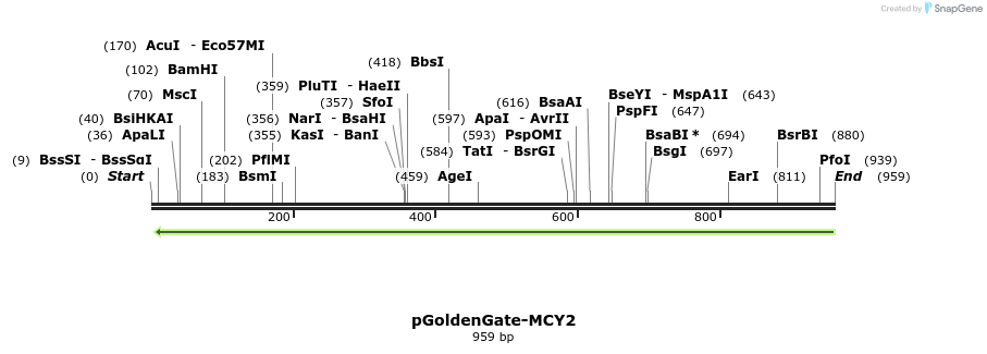 70490_map