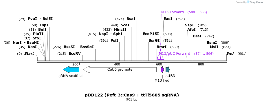 70502_map