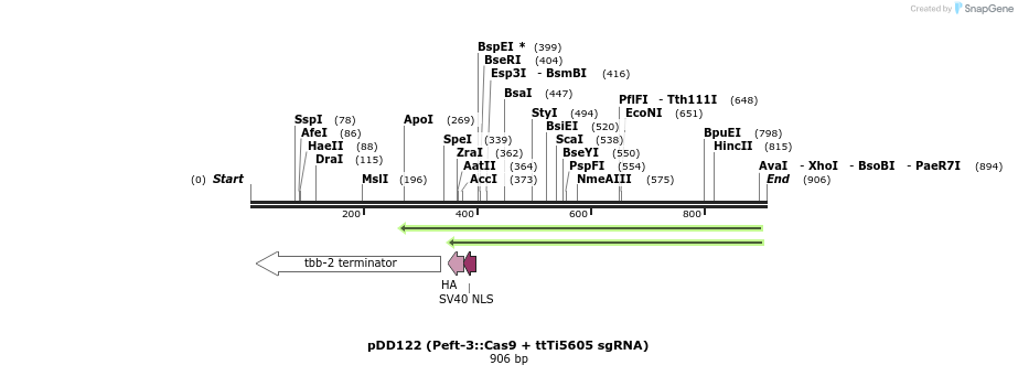 70503_map