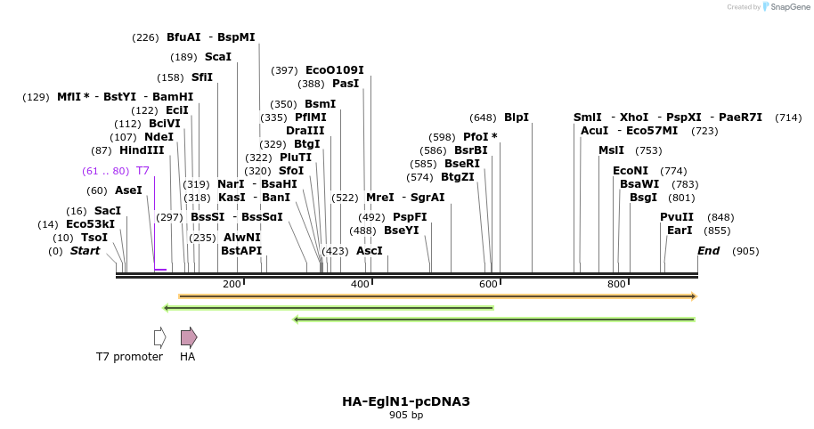 70507_map