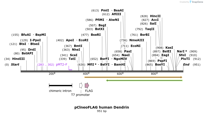 70519_map
