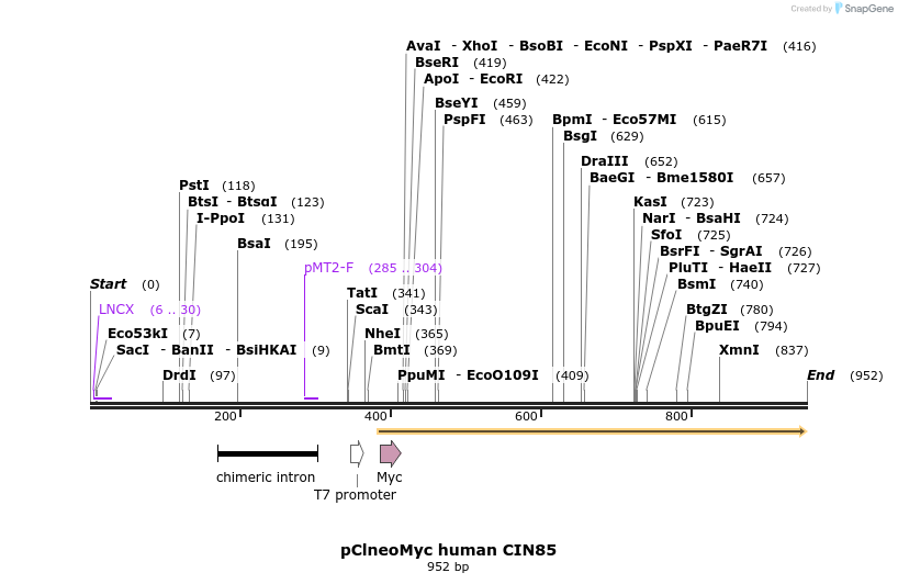 70521_map