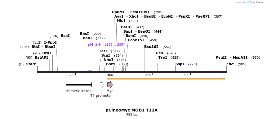 70524_map