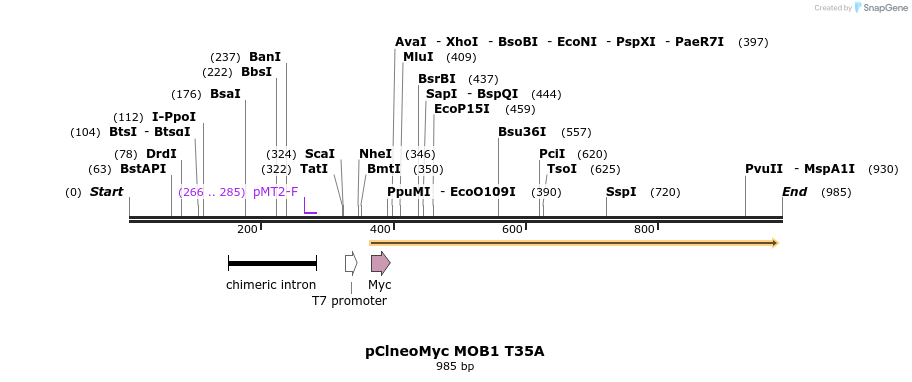 70525_map