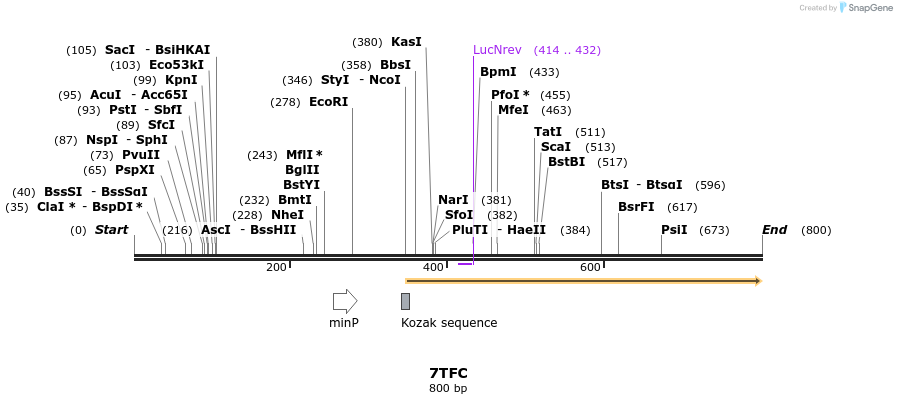 70528_map