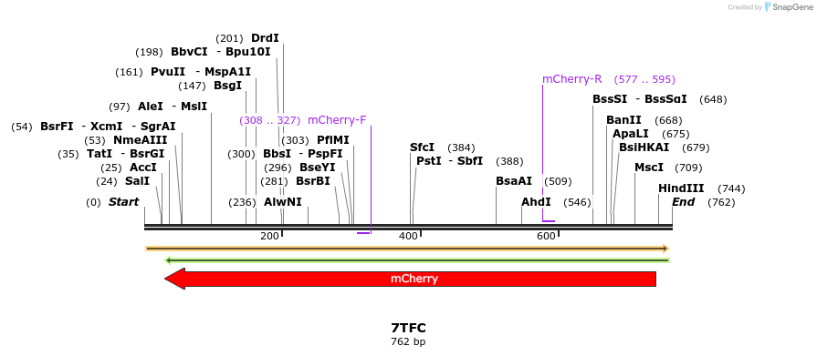 70529_map